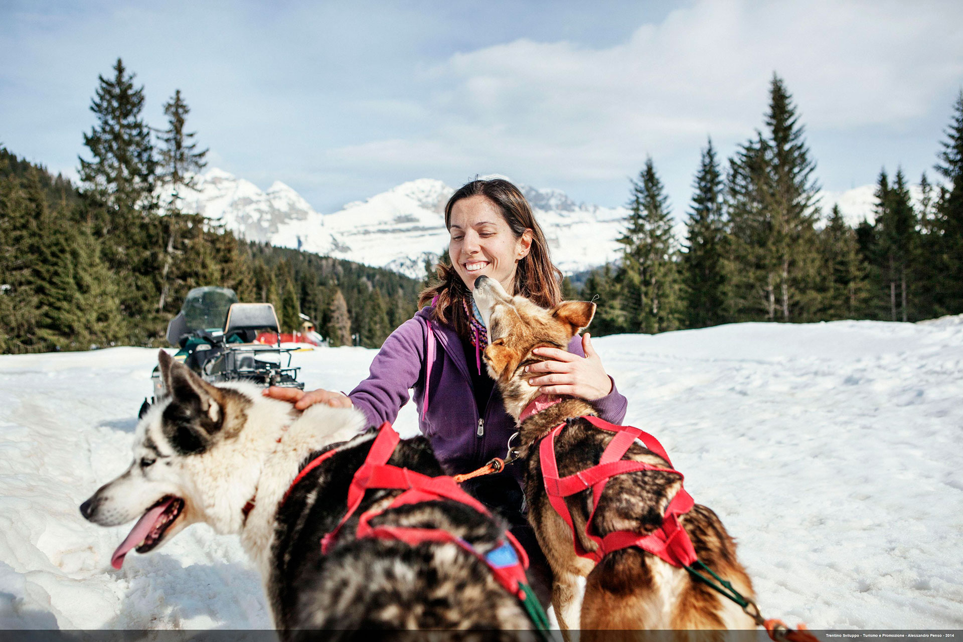 Dog Sleeding